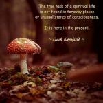 526772_532712873423076_748988913_n